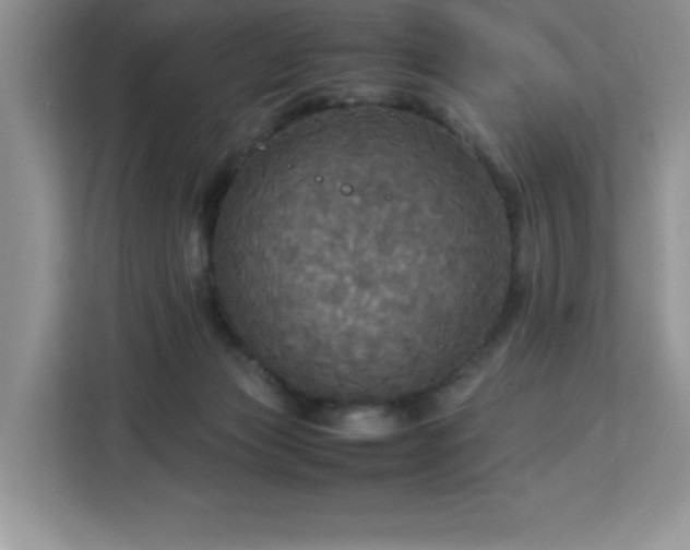 X0000113110173200908281416