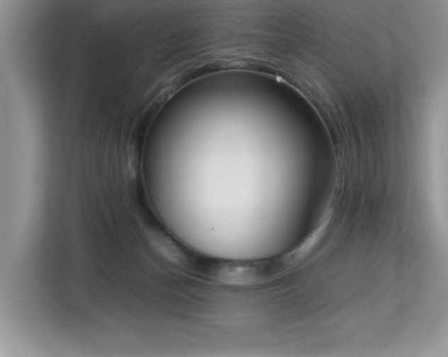 X0000113110174200908281416