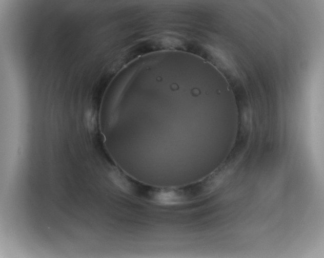 X0000113110177200908281416