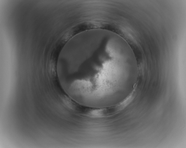 X0000113110178200908281416