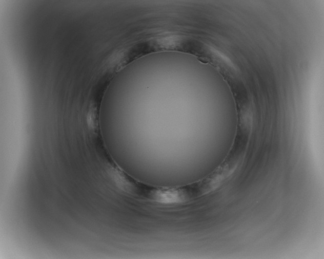 X0000113110181200908281416