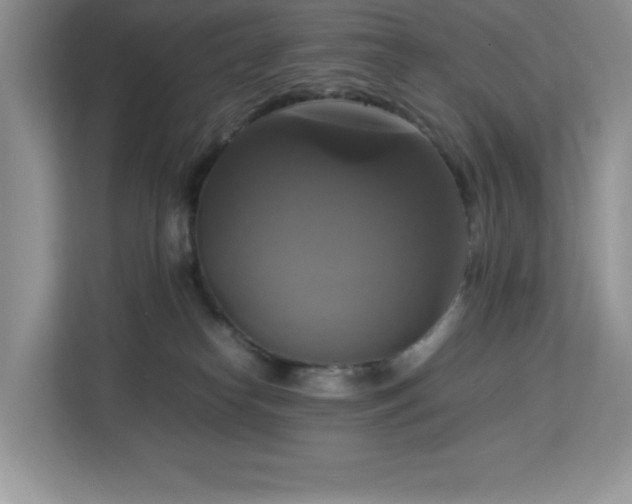 X0000113110182200908281416