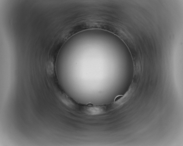 X0000113110183200908281416