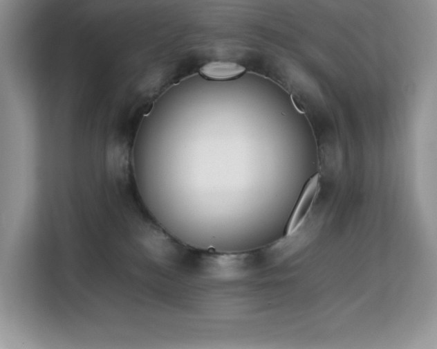 X0000113110184200908281416