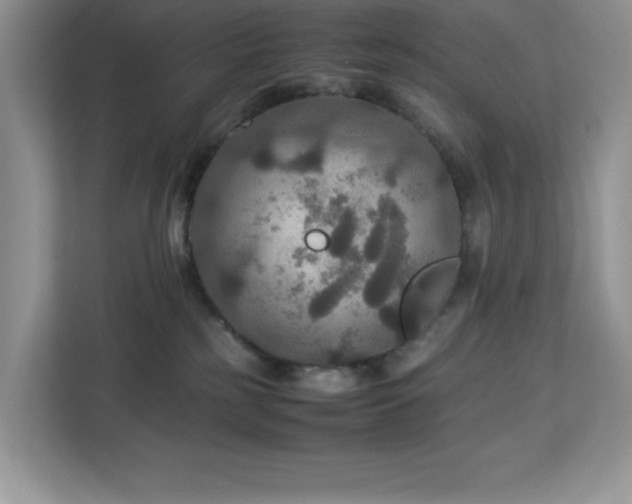 X0000113110185200908281416