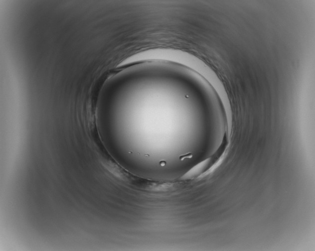 X0000113110186200908281416