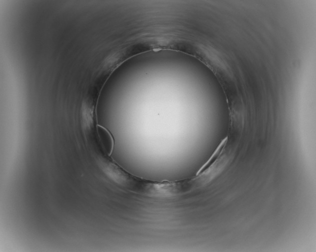 X0000113110188200908281416