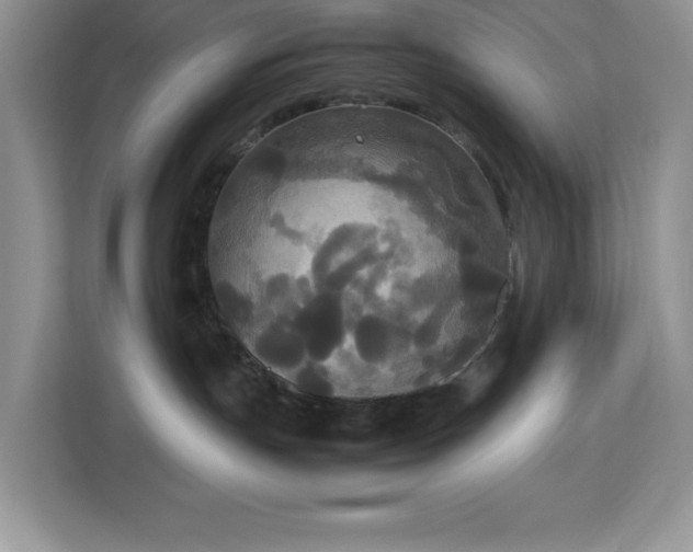 X0000113110191200908281416