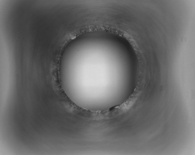 X0000113110192200908281416