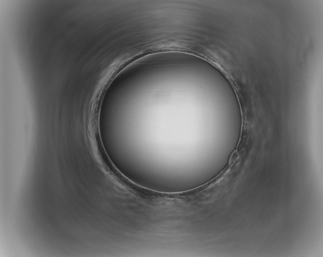 X0000113110193200908281415
