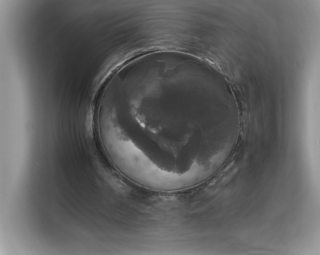 X0000113110194200908281415