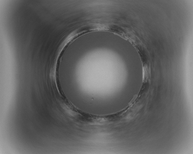 X0000113110195200908281415