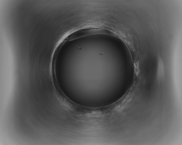 X0000113110196200908281415