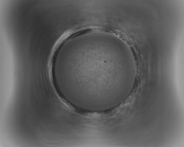 X0000113110197200908281415