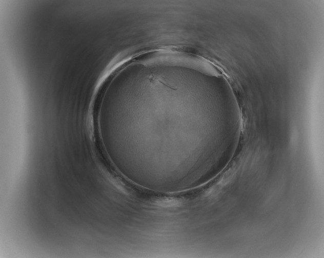 X0000113110198200908281415