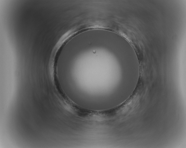 X0000113110199200908281415