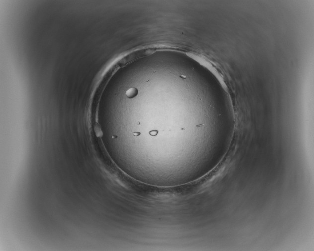 X0000113110200200908281415