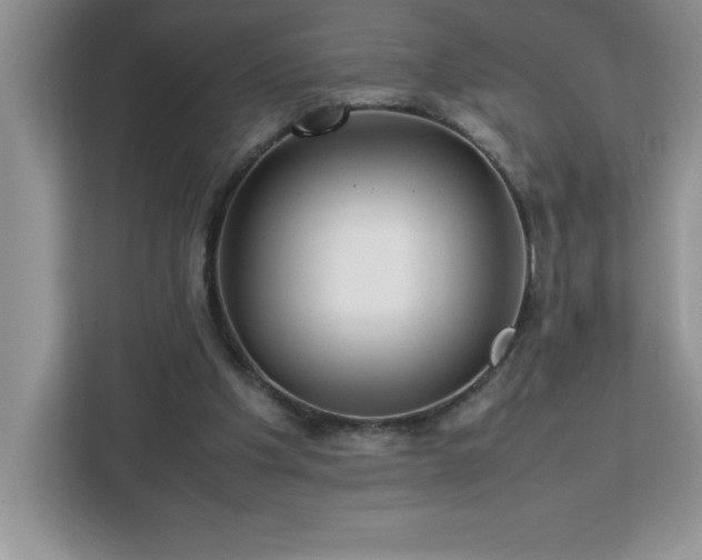 X0000113110201200908281415
