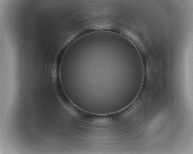 X0000113110202200908281415