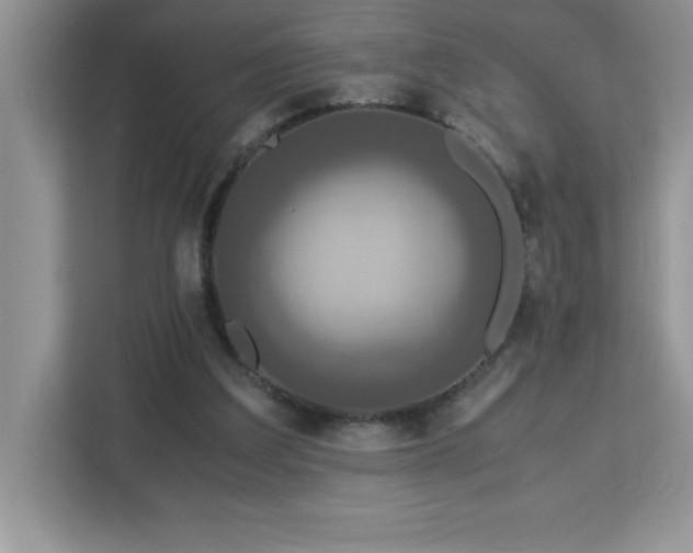 X0000113110203200908281415