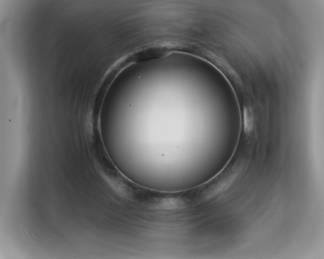X0000113110204200908281415