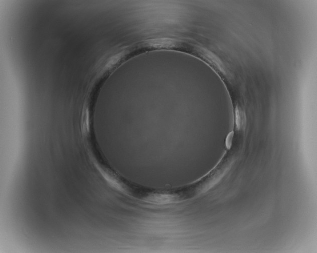 X0000113110205200908281415