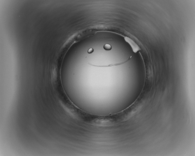 X0000113110208200908281415