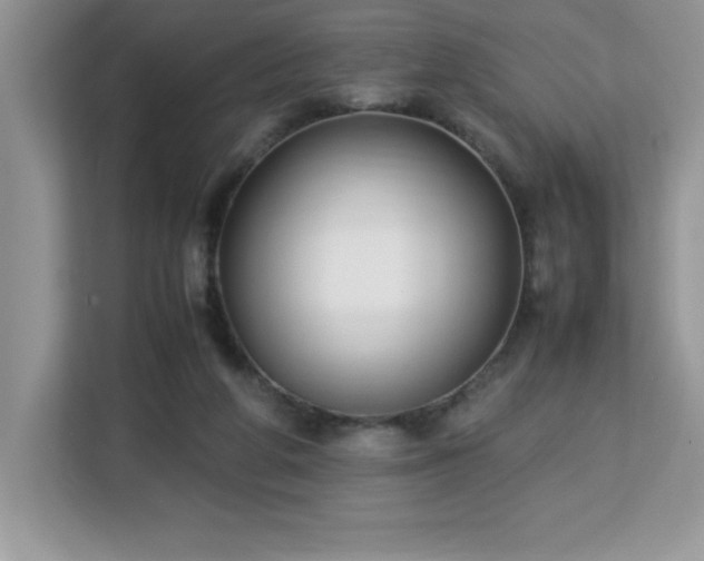 X0000113110210200908281415