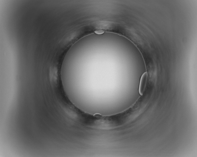 X0000113110211200908281415