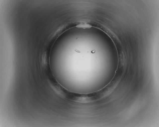 X0000113110212200908281415