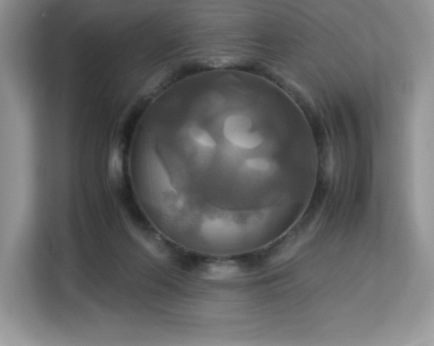 X0000113110214200908281415