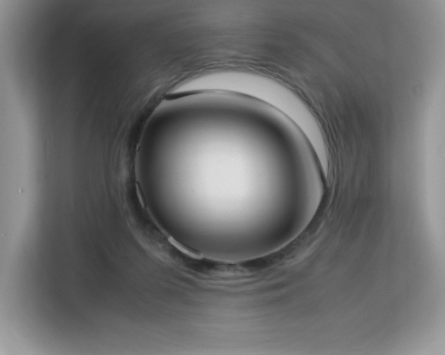 X0000113110215200908281415