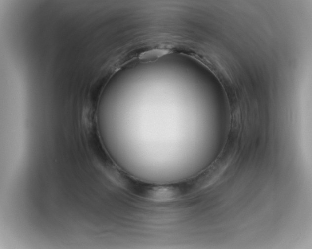 X0000113110218200908281415