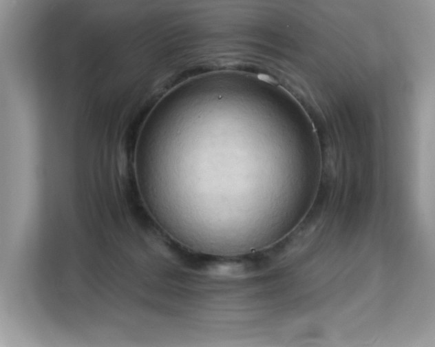 X0000113110220200908281415