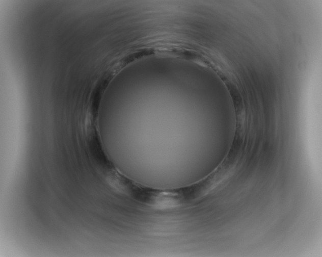 X0000113110222200908281415