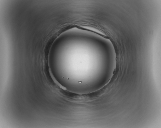 X0000113110223200908281415