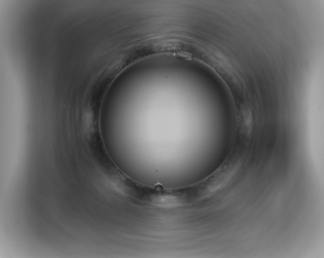 X0000113110224200908281415