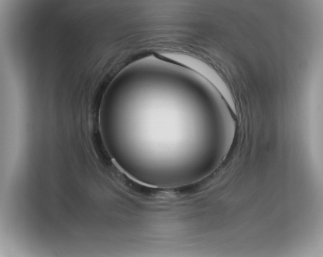 X0000113110227200908281415