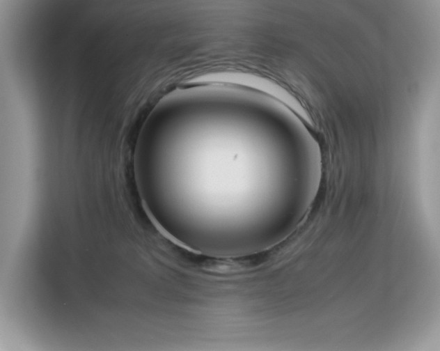 X0000113110229200908281415
