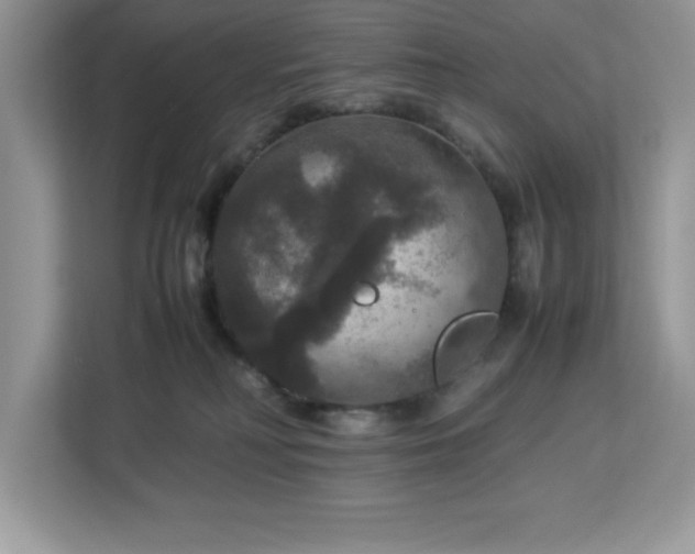 X0000113110230200908281415