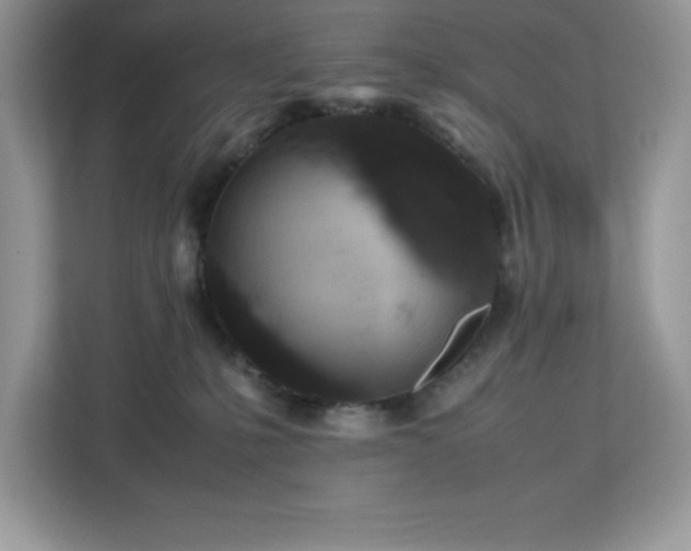 X0000113110231200908281415