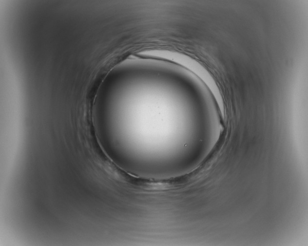X0000113110233200908281415