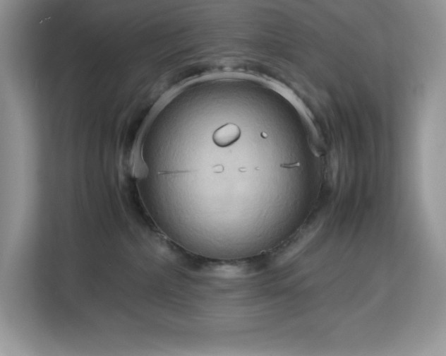 X0000113110236200908281415