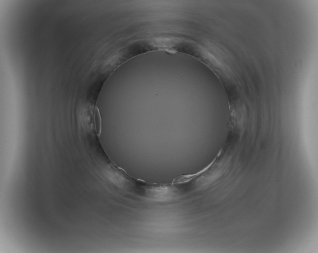 X0000113110237200908281415