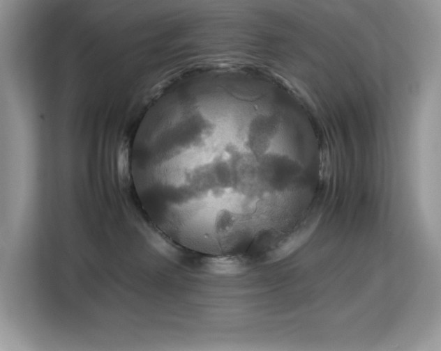 X0000113110238200908281415