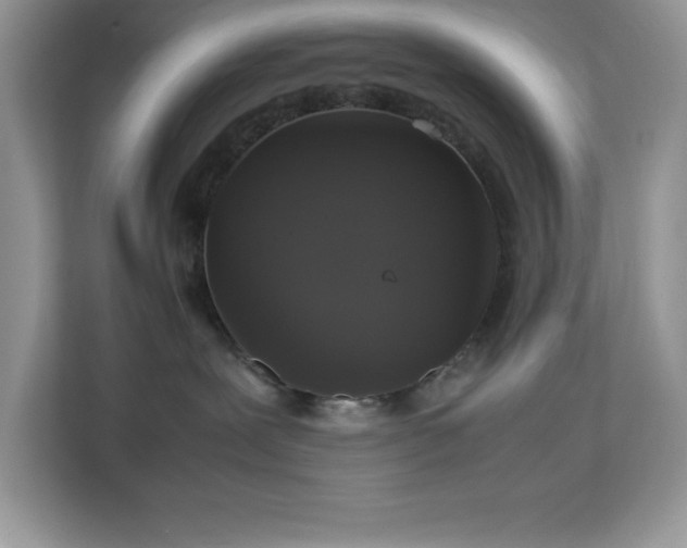 X0000113110239200908281415