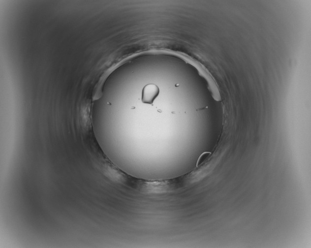 X0000113110240200908281415