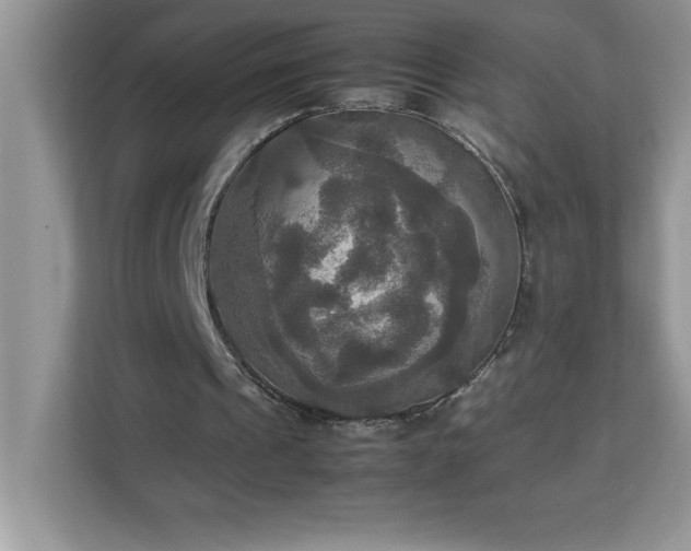 X0000113110241200908281414