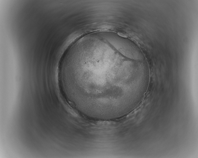 X0000113110242200908281414
