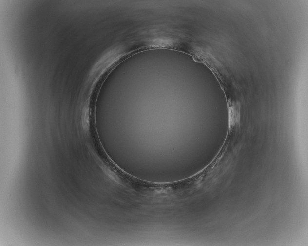 X0000113110243200908281414